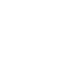 Whale.io logo