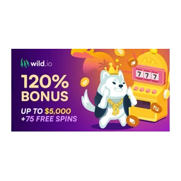Wild.io logo